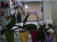 c79cd984-Picture 3767.jpg